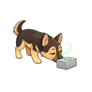 nosework2